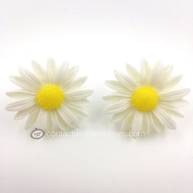 White Daisies
