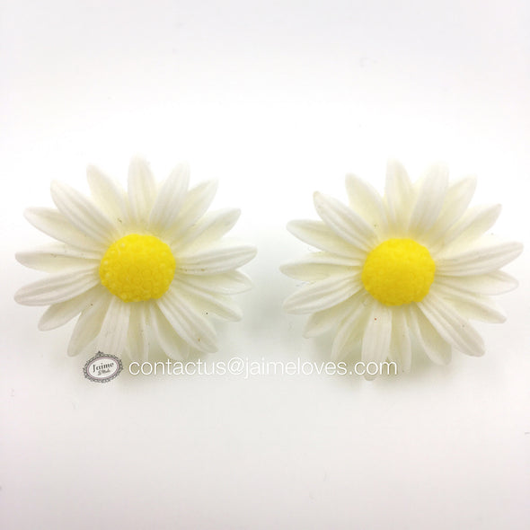 White Daisies